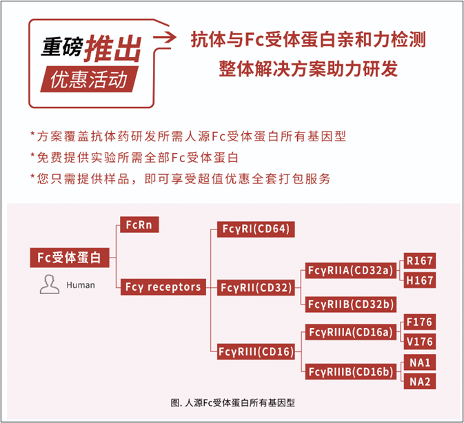 抗疫与Fc受体蛋白亲和力检测服务