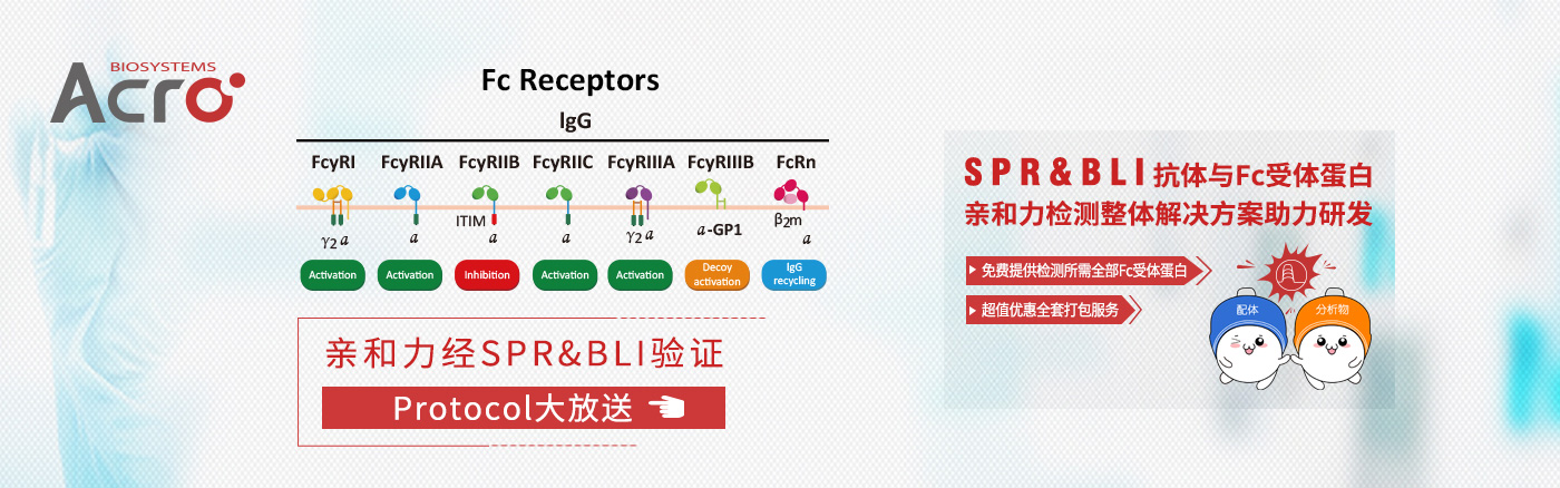 Fc受体蛋白