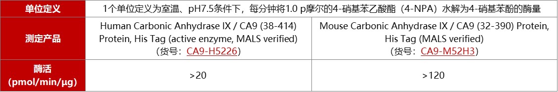 碳酸酐酶IX