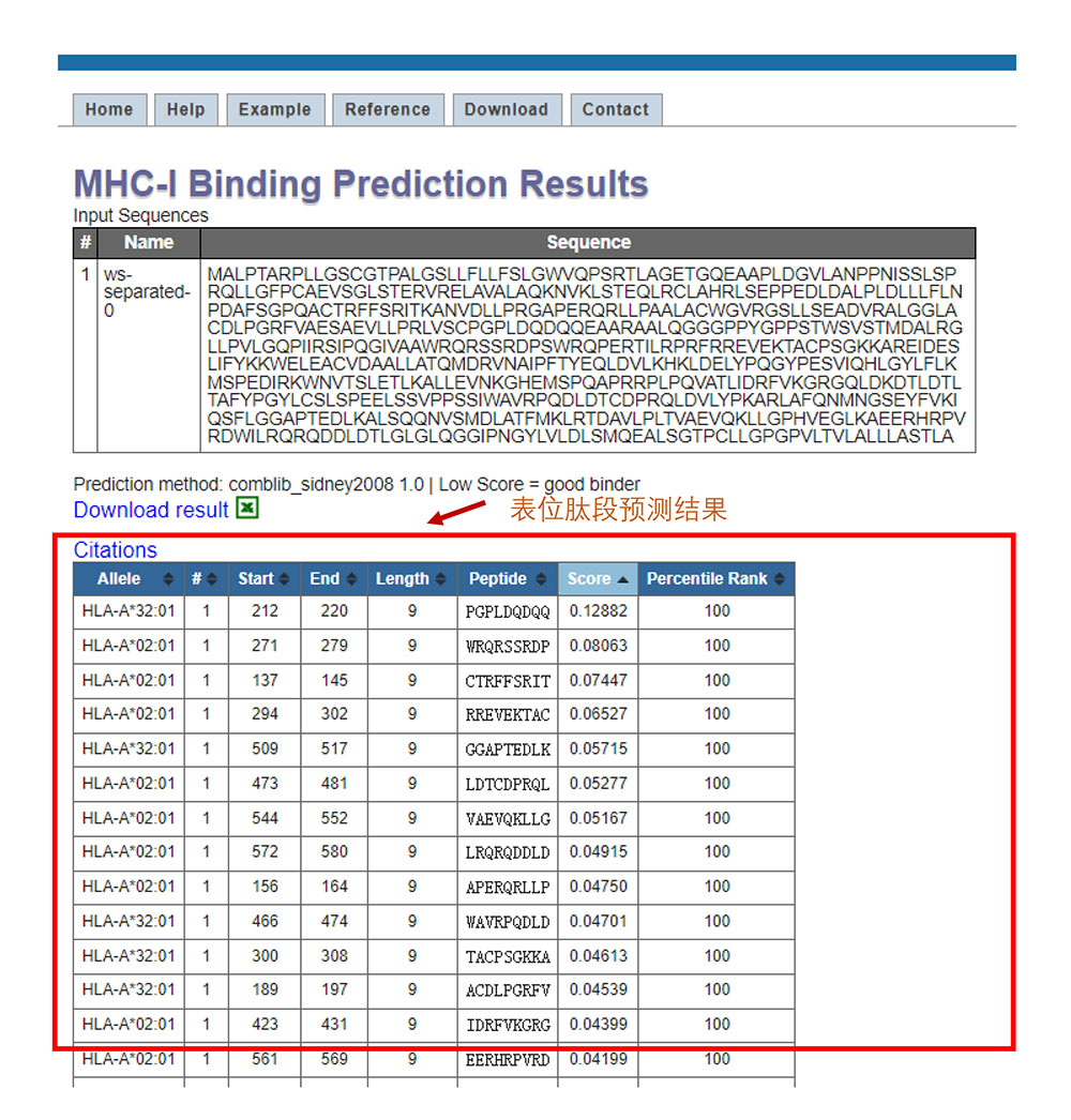 表面肽段预测结果