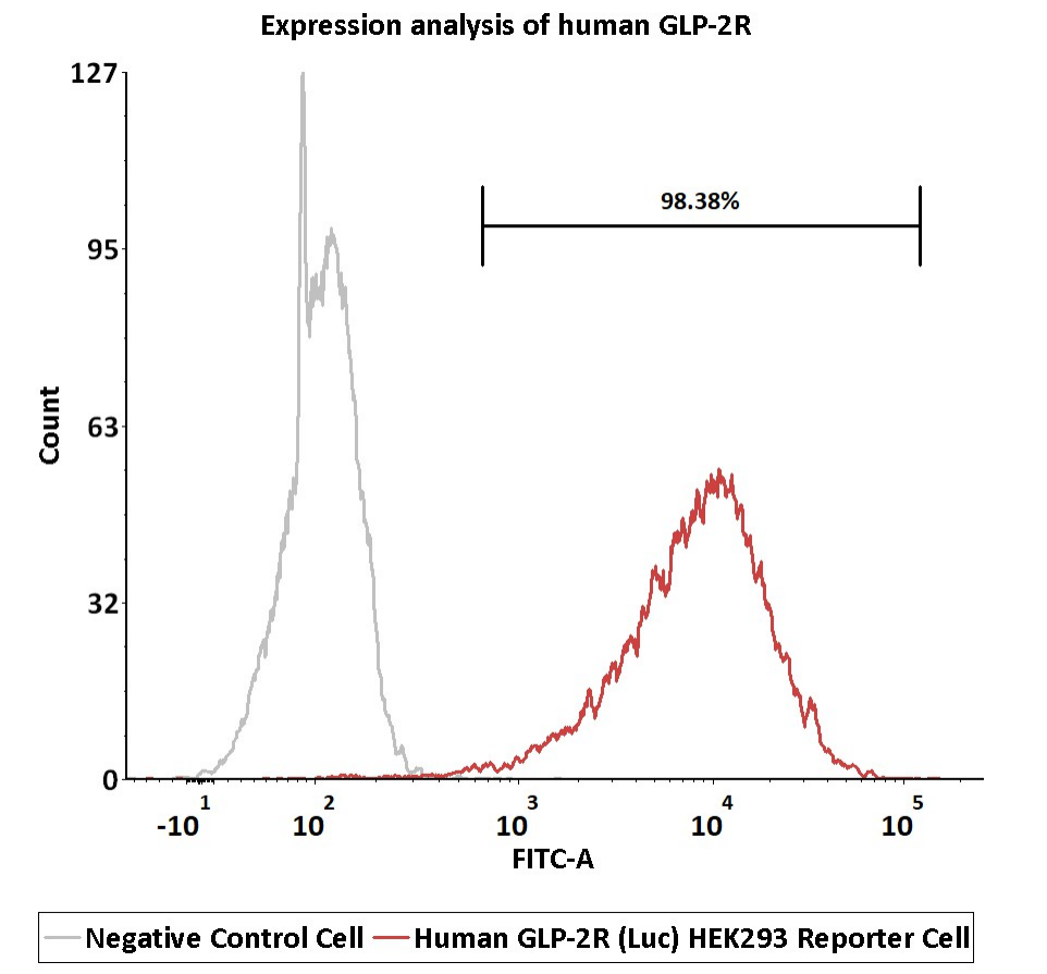 受体表达验证-FACS