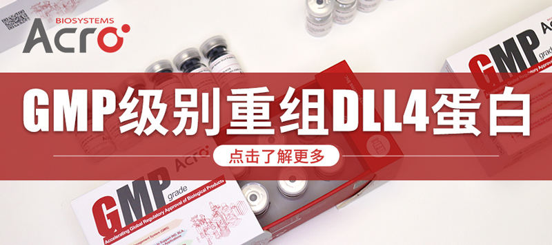 GMP级别DLL4蛋白