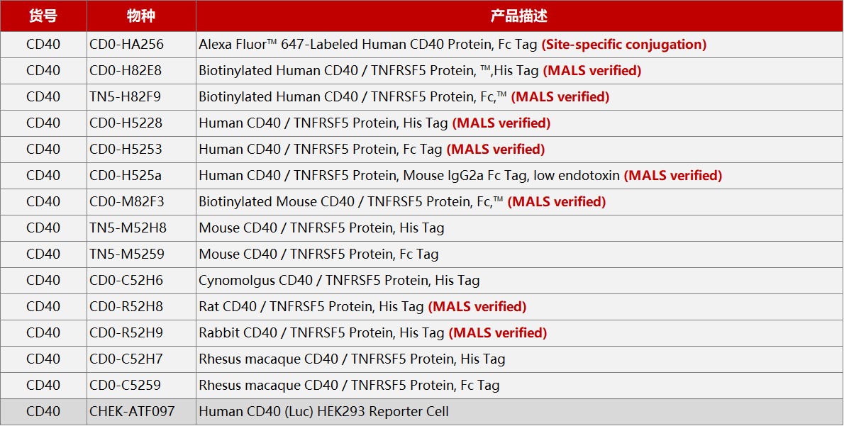 CD40产品列表