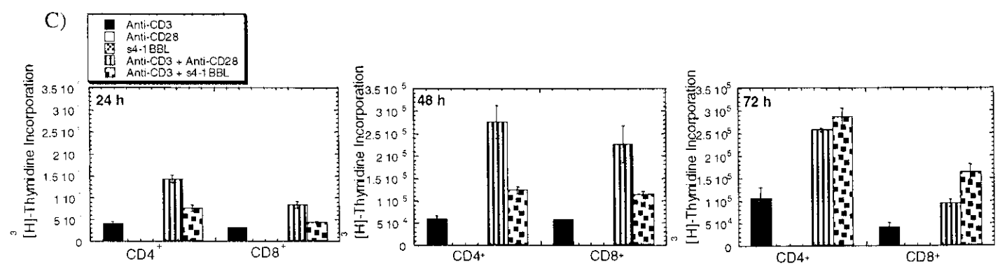 T cell proliferation in response to CD28- or 4-1BBL-mediated co-stimulation. J Immunol. 2001;167(3):1313-1324.