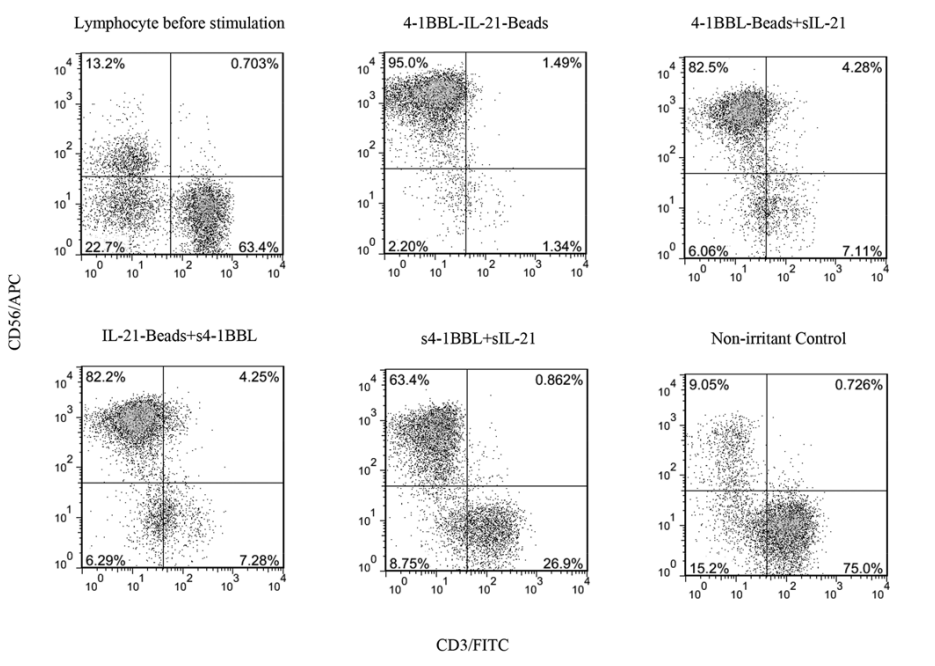 Immobilized 4-1BBL and IL-21 induced the expansion of NK cells in vitro. Int J Oncol. 2015;47(1):335-342.