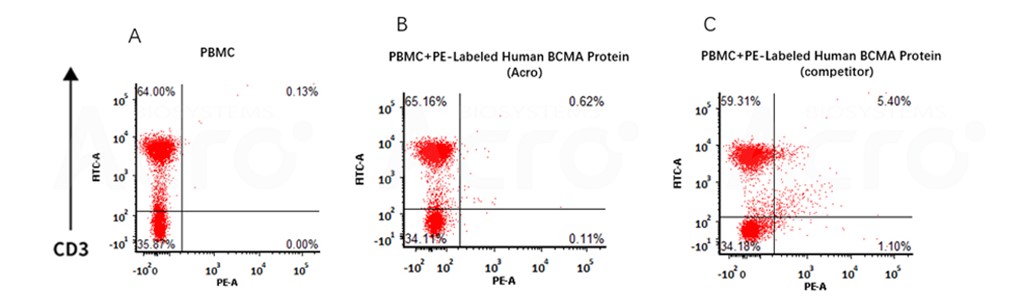 适用于BCMA CAR-T临床样本分析