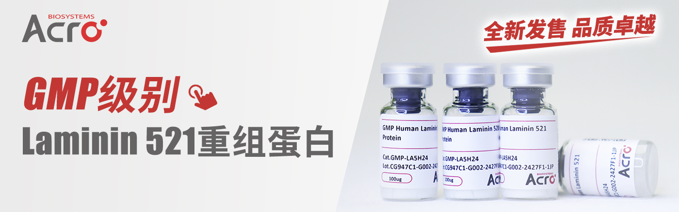 GMP级别Laminin 521重组蛋白