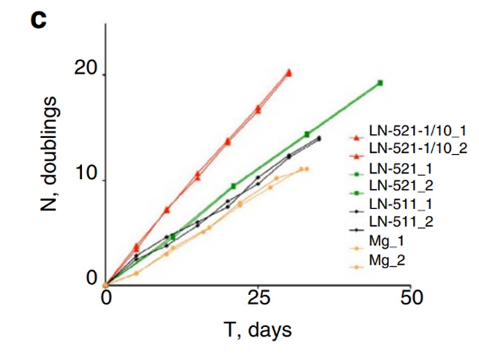 Growth curves of HS181 hES cells cultured on LN-521 passaged as single cells in 