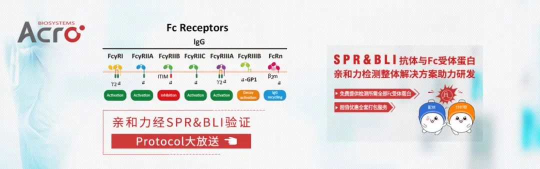 高质量Fc受体蛋白