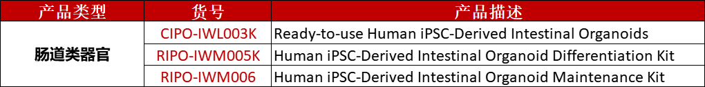 肠道类器官及其分化试剂盒