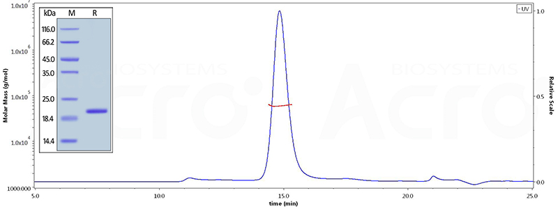 Biotinylated Human TNF-alpha