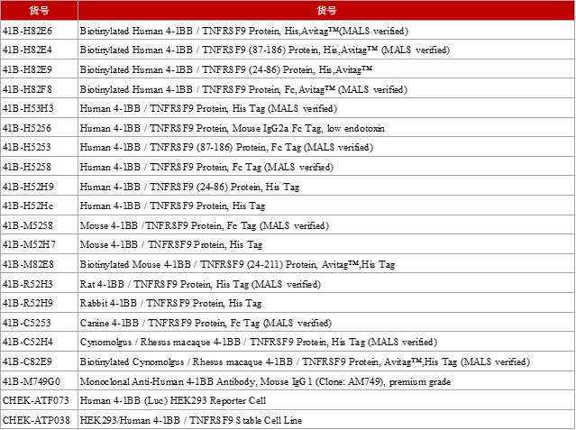 新一代4-1BB激动剂的探索之路