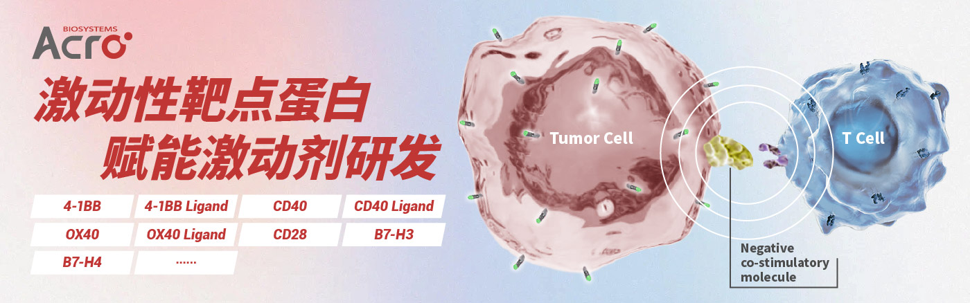 新一代4-1BB激动剂的探索之路