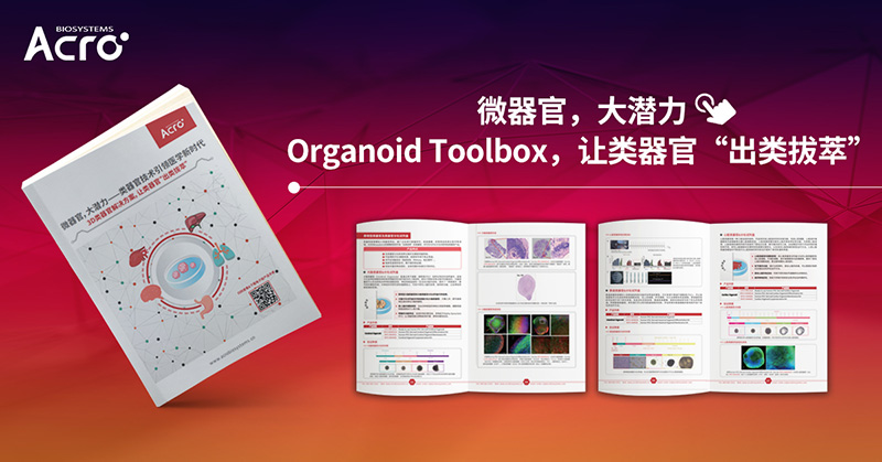 Organoid Toolbox破解AAV筛选难题