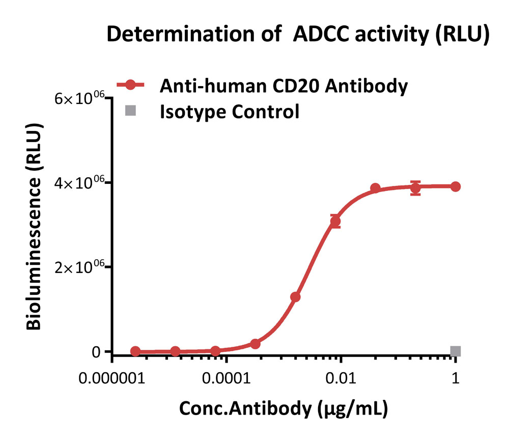 ADC药物研发