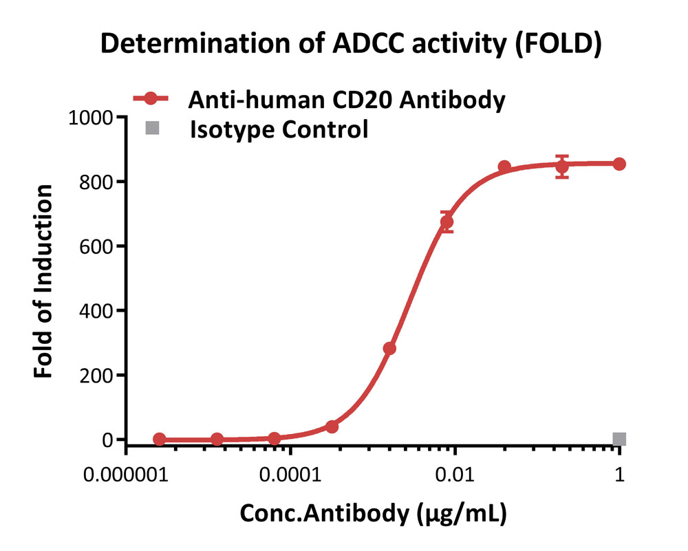 ADC药物研发