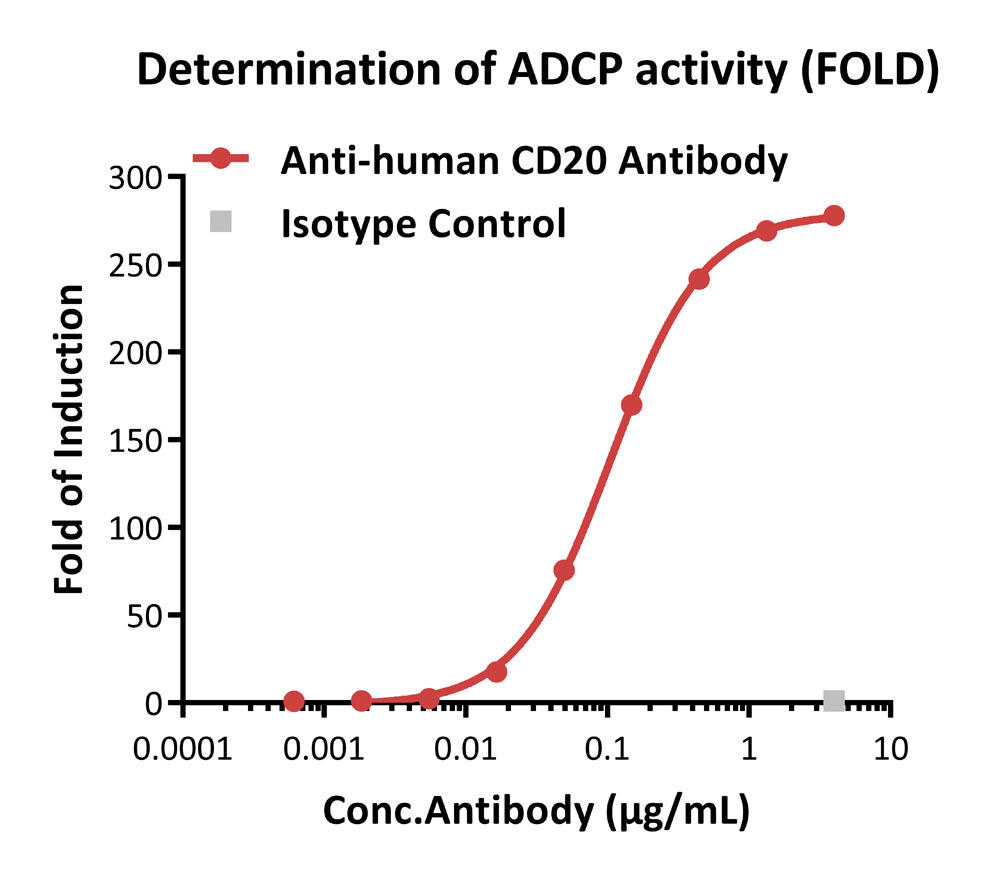 ADC药物研发