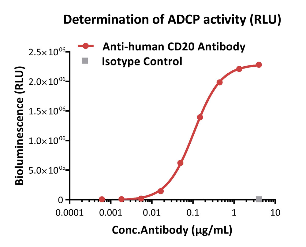 ADC药物研发