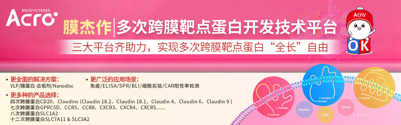 全长CD151蛋白