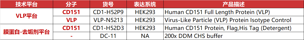 全长CD151蛋白