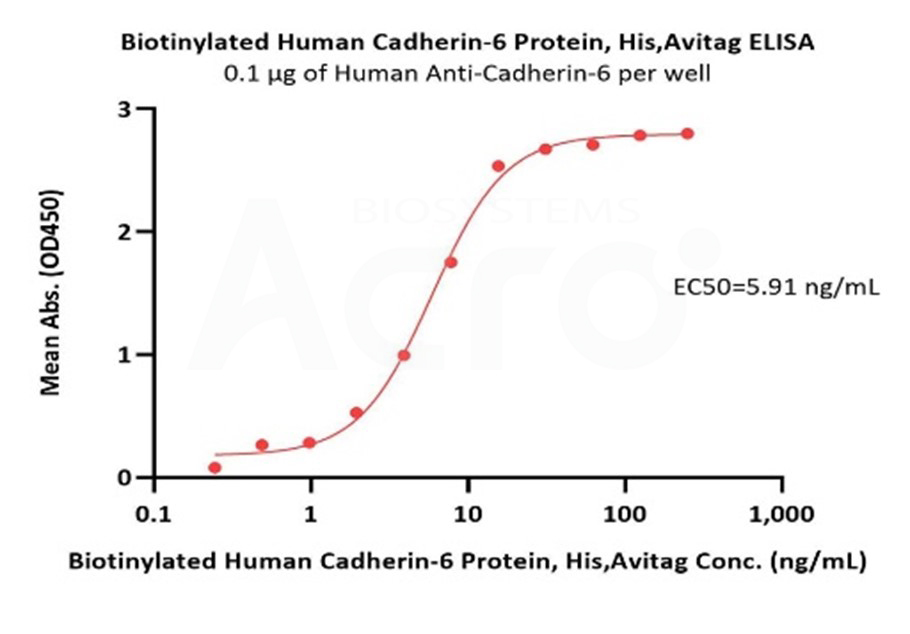 钙粘蛋白（Cadherin，CDH）