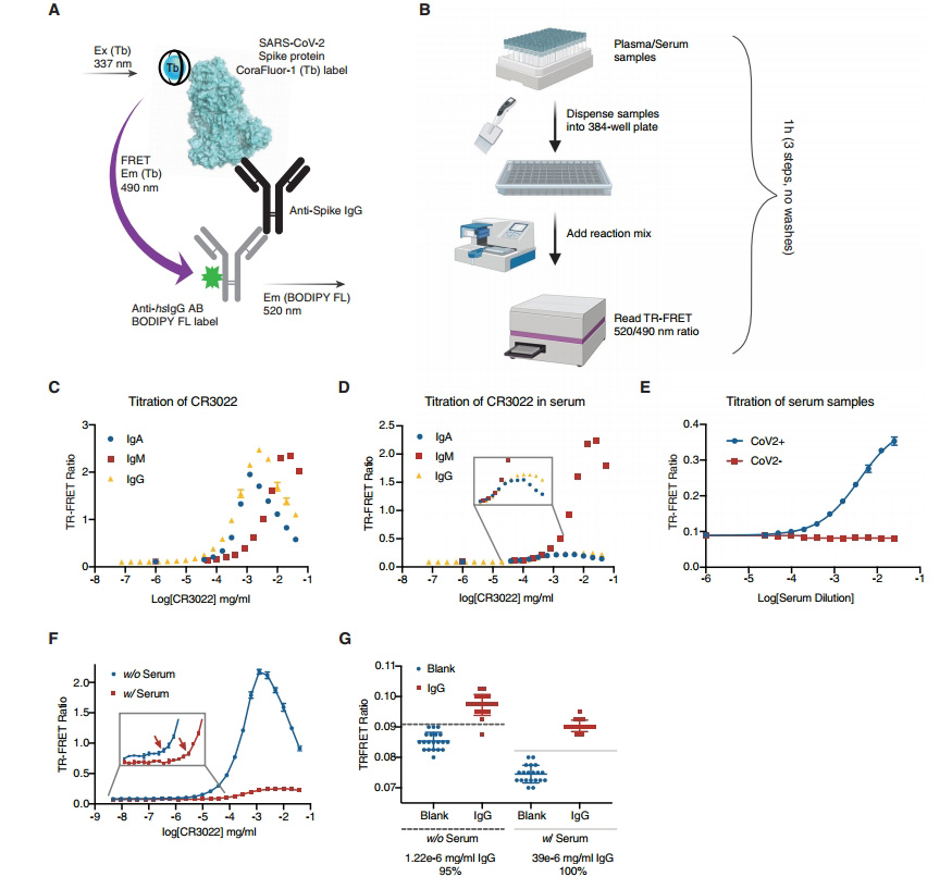 Human FcRn Binding Kit (TR-FRET)