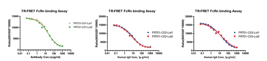 Human FcRn Binding Kit (TR-FRET)