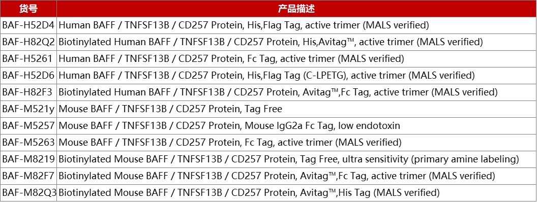 BAFF：强力对抗重症肌无力