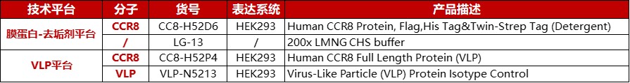 全长CCR8蛋白