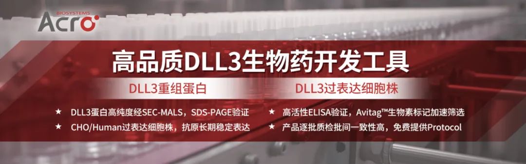 聚焦SCLC理想靶点：多种药物作用机制全面开花