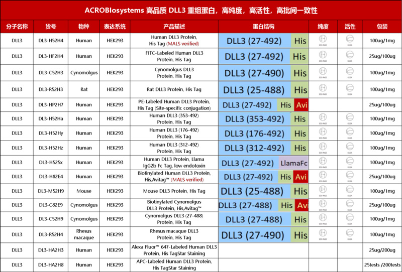 聚焦SCLC理想靶点：多种药物作用机制全面开花