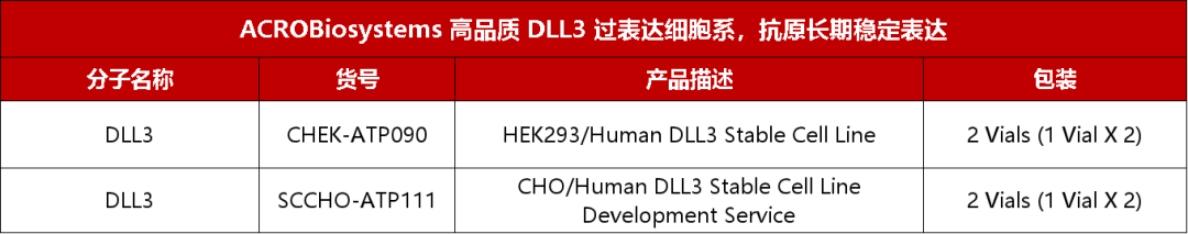 聚焦SCLC理想靶点：多种药物作用机制全面开花