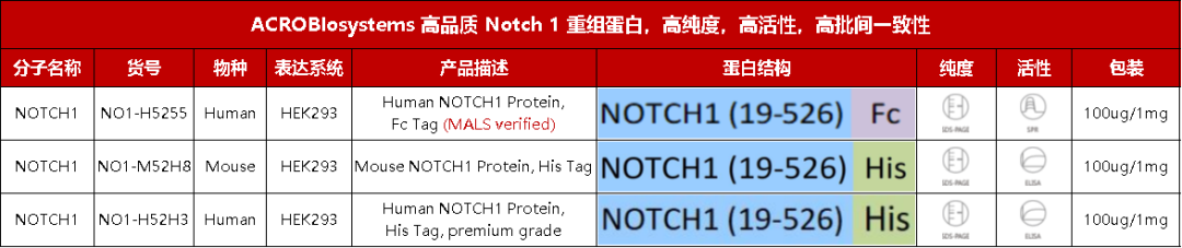 聚焦SCLC理想靶点：多种药物作用机制全面开花