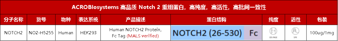 聚焦SCLC理想靶点：多种药物作用机制全面开花