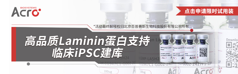 高品质Laminin蛋白支持临床iPSC建库