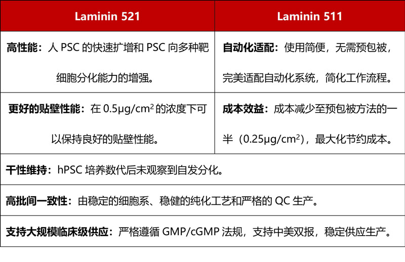 高品质Laminin蛋白支持临床iPSC建库