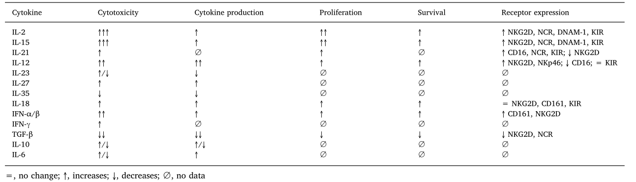 NK cell responses to cytokines.