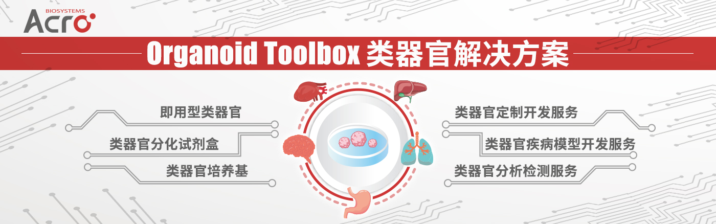 Aneuro联合Organoid Toolbox助您解码帕金森病新前沿