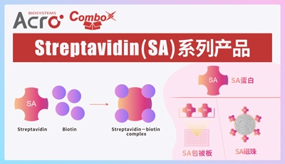 【Nature洞见】IgE介导的FcεRI活化，过敏性疾病的关键机制