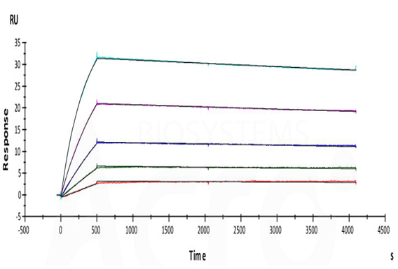 PD-（L）1×VEGF组合领航时