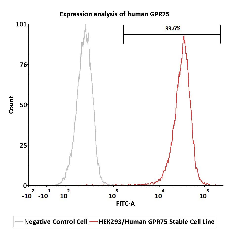 GPR75：解锁肥胖治疗新希望