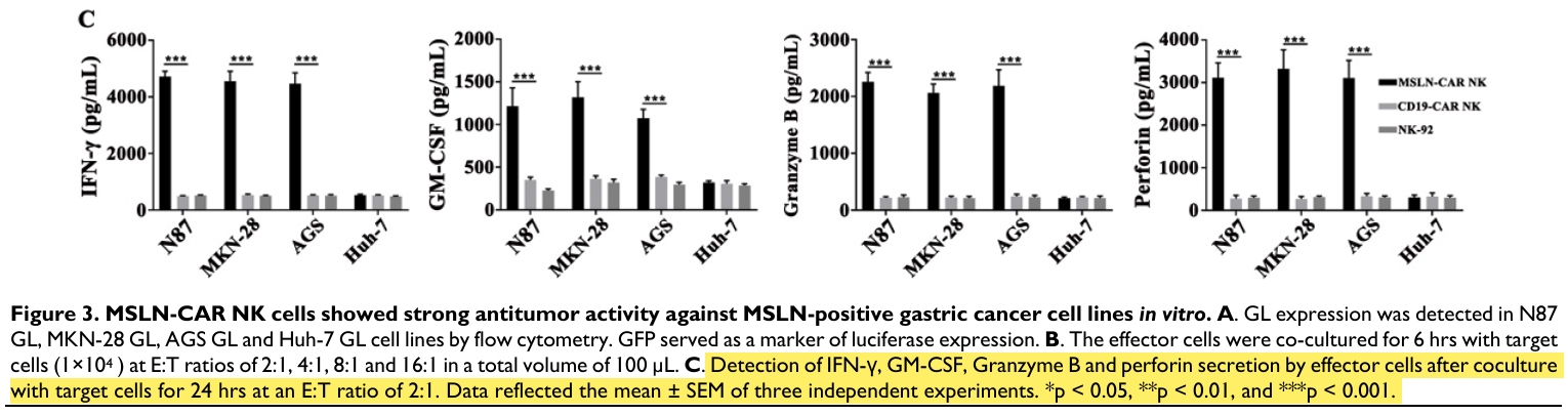 MSLN-CAR-NK的体外细胞刺激标志物检测