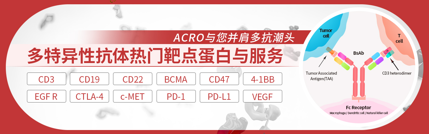 多特异性抗体：精准肿瘤免疫治疗的前沿探索