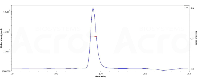 SEC-HPLC&SEC-MALS数据